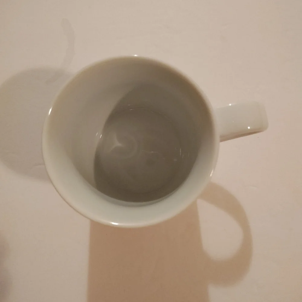 Crate & barrel aqua pink retro pigeon mug